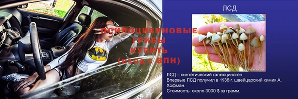 СК Покачи