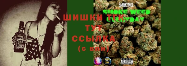 PSILOCYBIN Балабаново